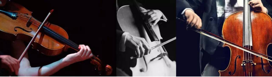 MG电子游戏(中国集团)官方网站