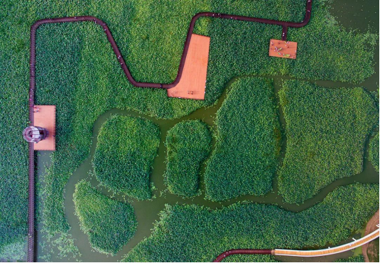 MG电子游戏(中国集团)官方网站