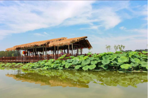 MG电子游戏(中国集团)官方网站