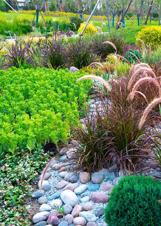 MG电子游戏(中国集团)官方网站