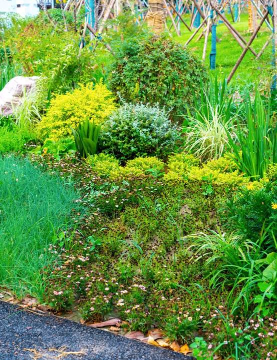 MG电子游戏(中国集团)官方网站